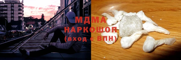 прущие грибы Вязьма