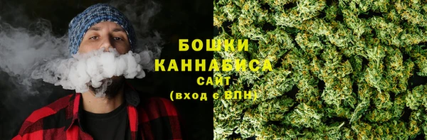 стаф Вязники