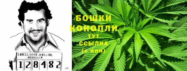 стаф Вязники