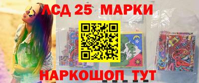прущие грибы Гатчина