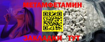прущие грибы Гатчина