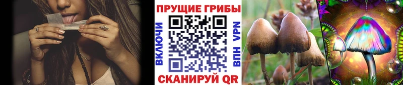 Галлюциногенные грибы Cubensis  ссылка на мегу   Лосино-Петровский 