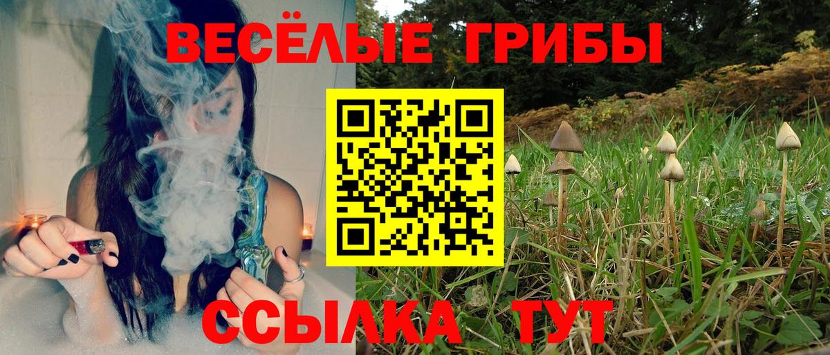 Псилоцибиновые грибы Psilocybe Лосино-Петровский