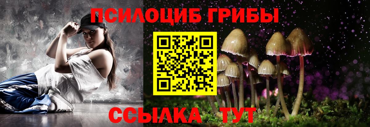 Лосино-Петровский  Псилоцибиновые грибы Magic Shrooms  Вход с VPN 