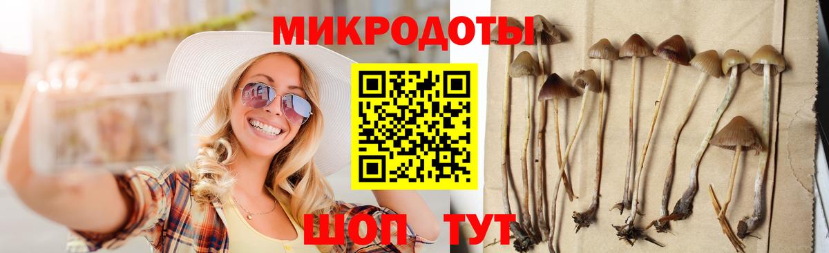Галлюциногенные грибы Psilocybine cubensis  цены наркотик  Лосино-Петровский 